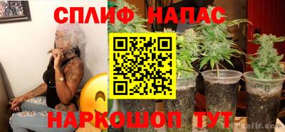 гашик Свободный