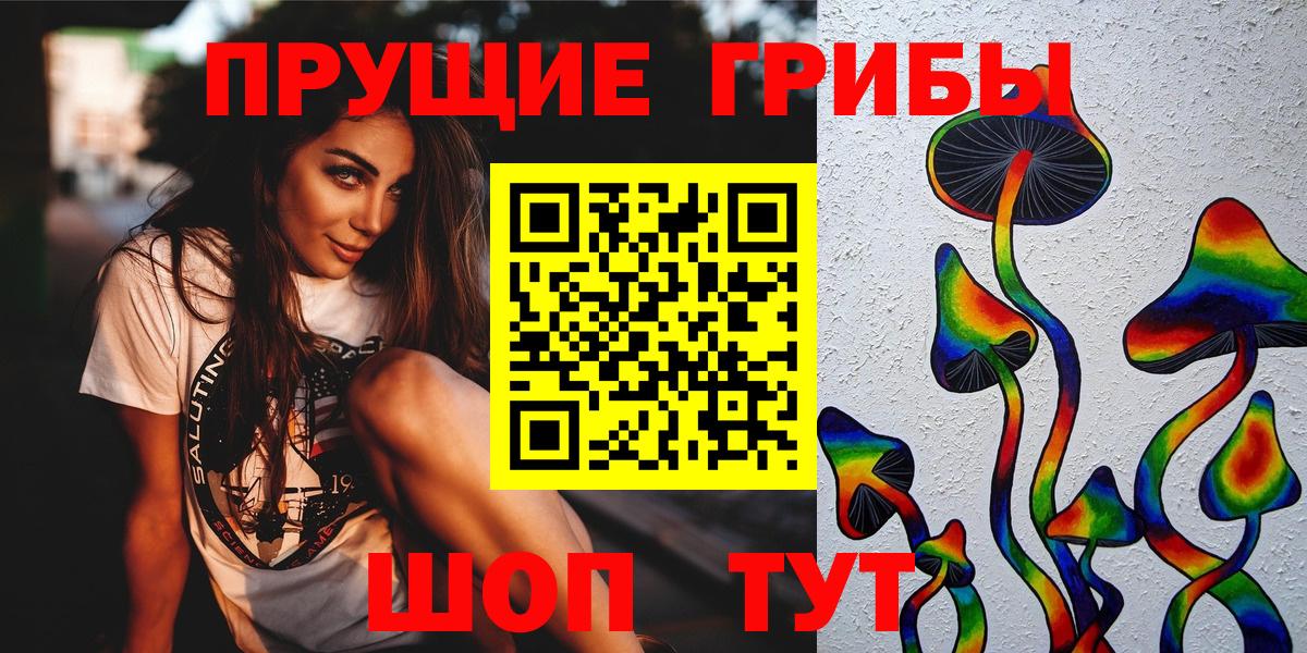 Северск  Галлюциногенные грибы мухоморы  купить наркотик  Вход с VPN 